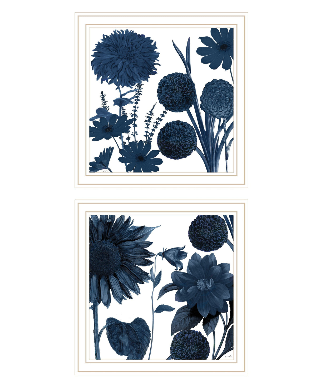Set Of Two Sunflower Blues 2 White Framed Print Wall Art W2B