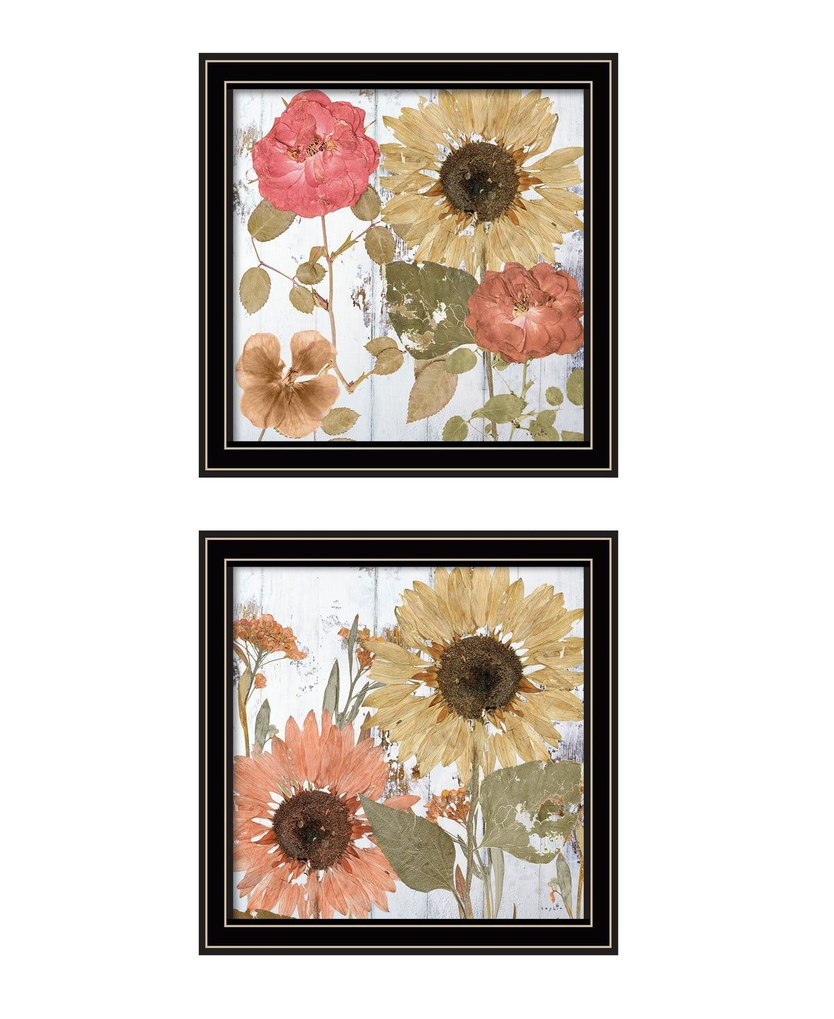 Set Of Two Earth to Petals 1 Black Framed Print Wall Art W2B