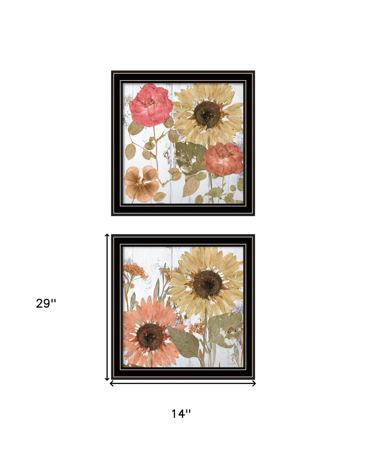 Set Of Two Earth to Petals 1 Black Framed Print Wall Art W2B