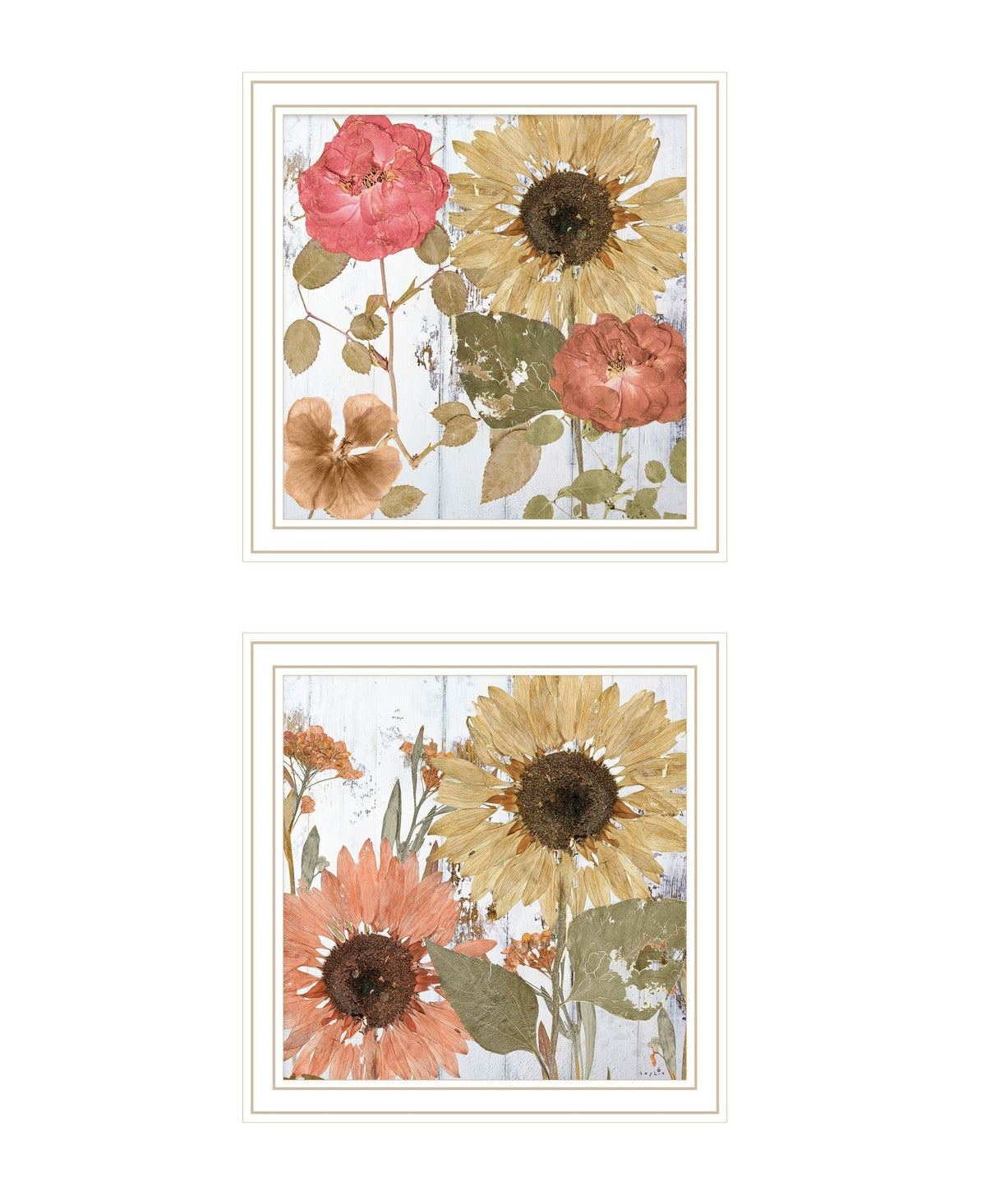 Set Of Two Earth to Petals 2 White Framed Print Wall Art W2B