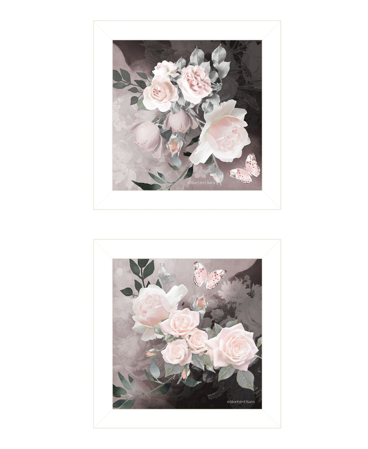 Set Of Two Noir Roses 5 White Framed Print Wall Art W2B
