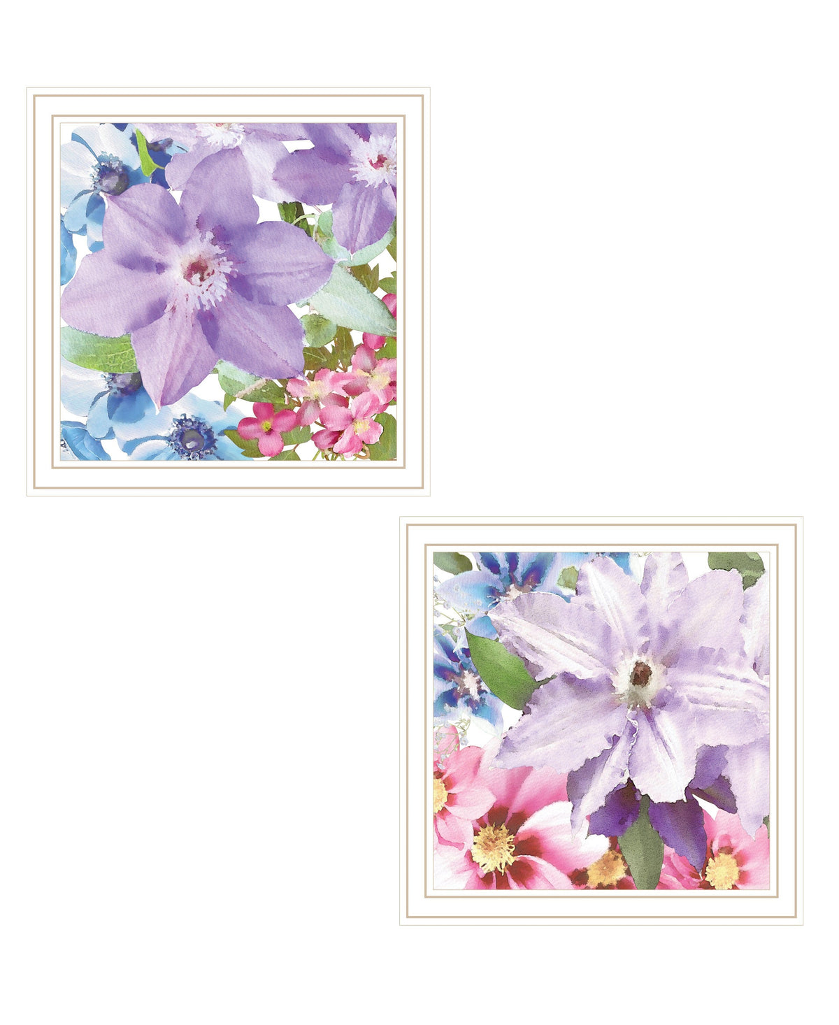 Set Of Two Clematis 1 White Framed Print Wall Art W2B