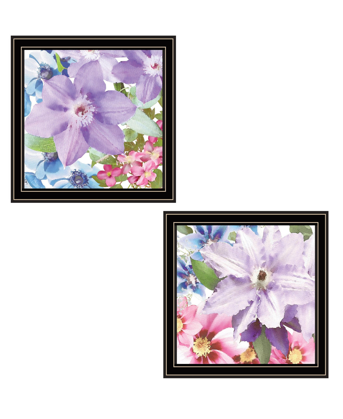 Set Of Two Clematis Black Framed Print Wall Art W2B