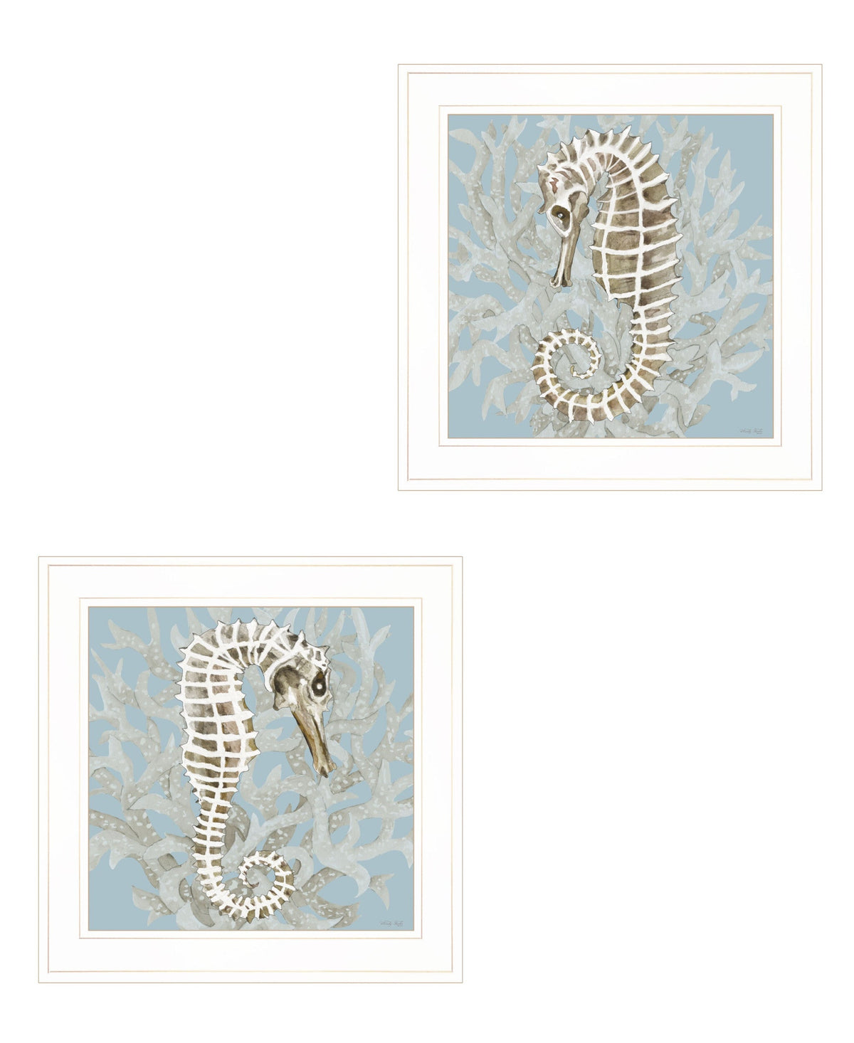 Set Of Two Coral Seahorse White Framed Print Wall Art W2B