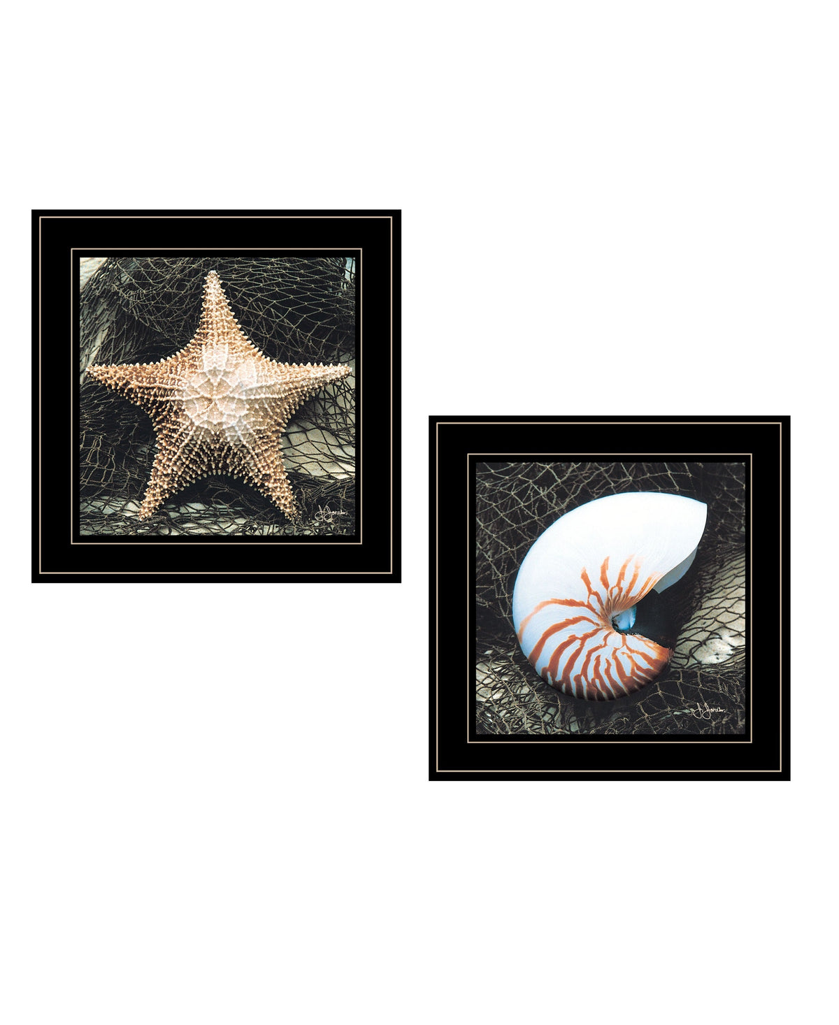 Set Of Two Ocean Net 2 Black Framed Print Wall Art W2B