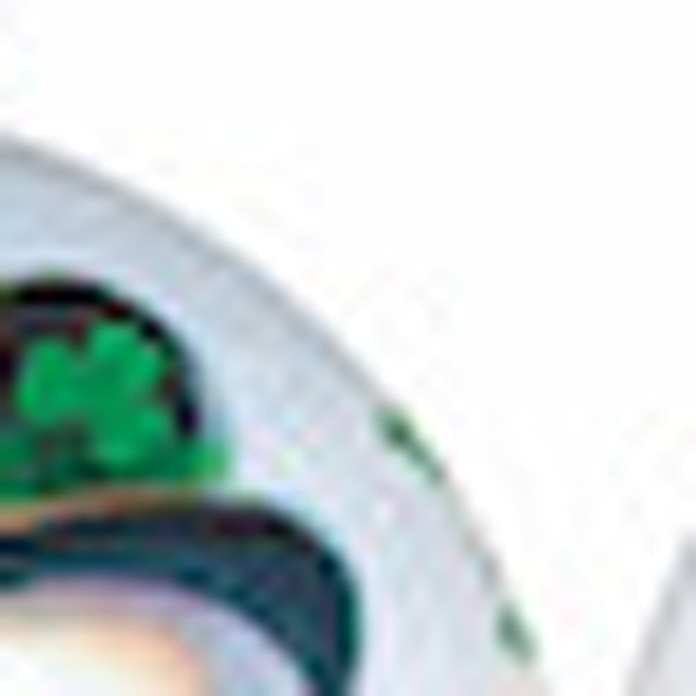 Green Irish Snowman Hand Painted Mouth Blown Glass Ornament W2B