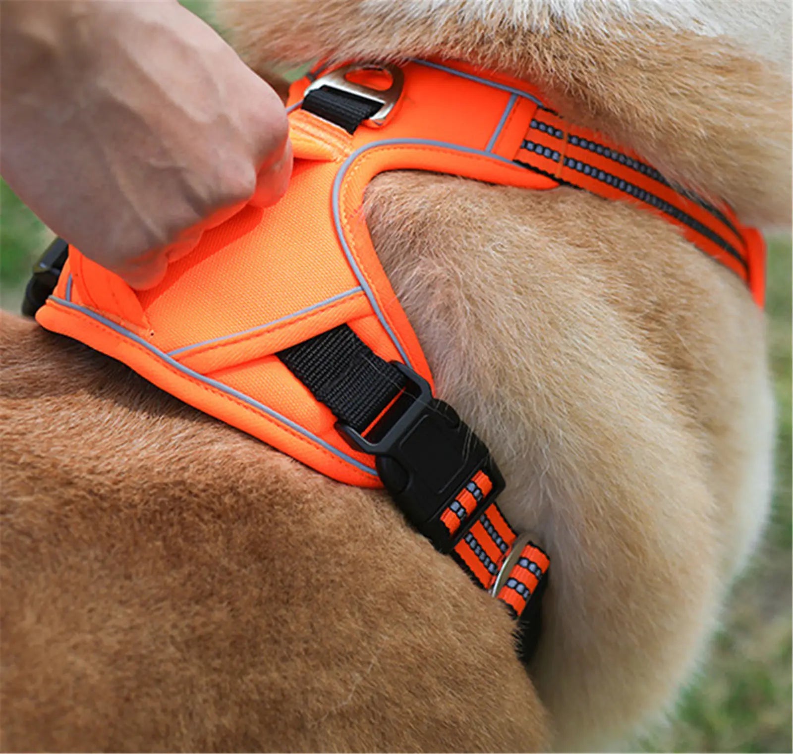 Durable Waterproof Pet Harness with Vertical Handle Best YouTube Store