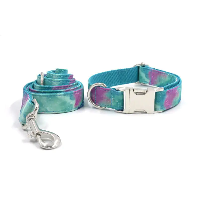 Durable Dog Collar with Traction Belt for Foreign Trade Best YouTube Store