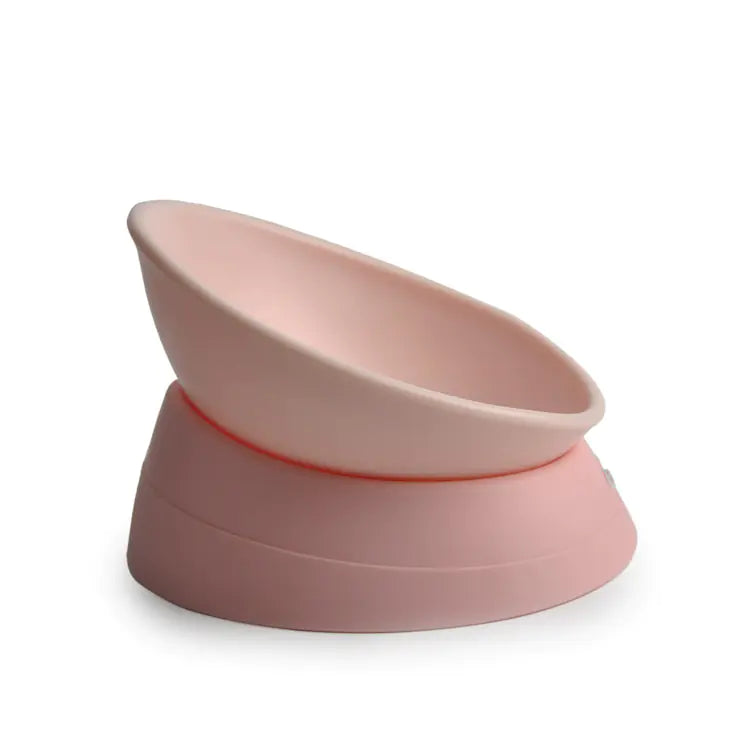 Non-Slip Cat Bowl with Adjustable Angle for Flat-Faced Cats Best YouTube Store