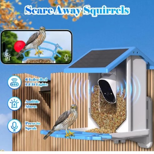 Solar Bird Feeder With Camera Best YouTube Store