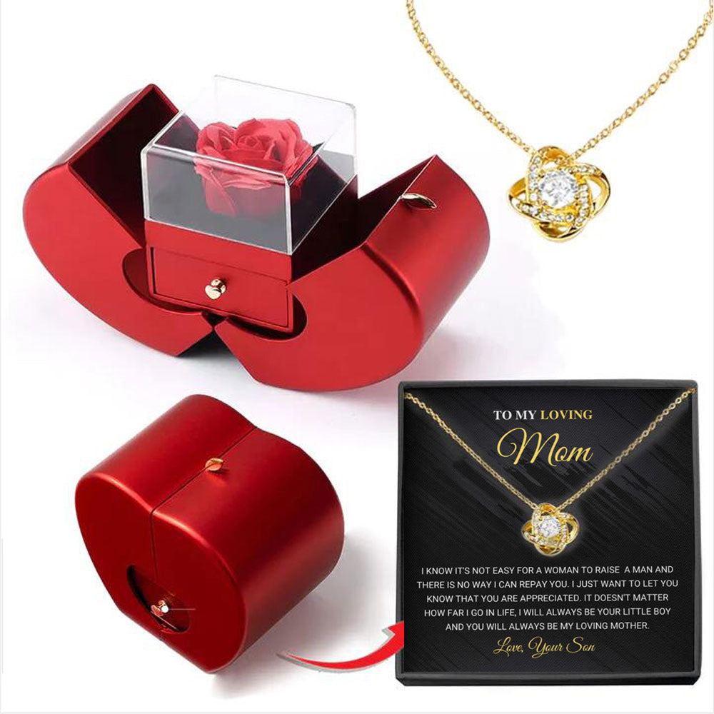 Niche Mother's Day Gift Clavicle Chain Apple Box Set CJD