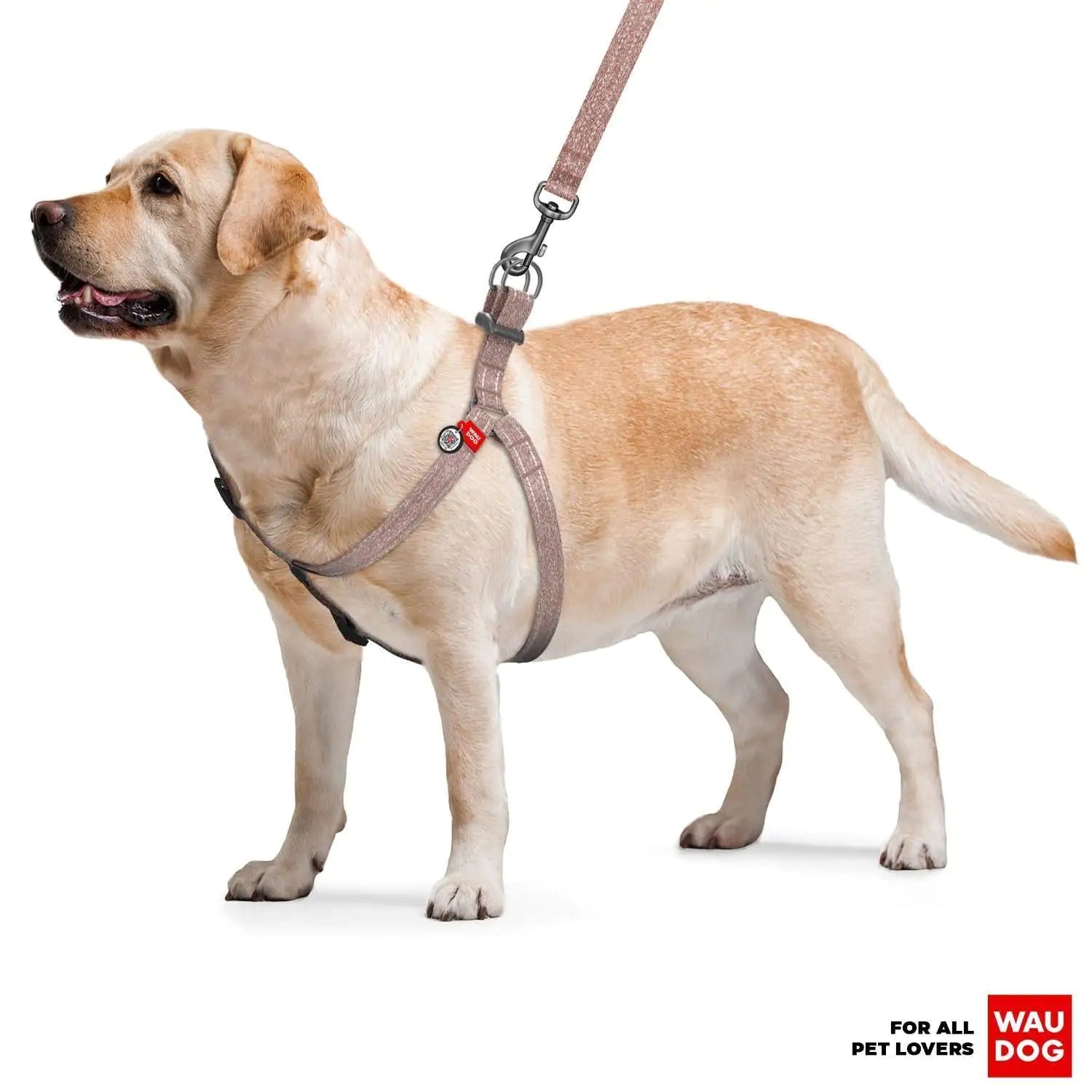 Brown Cotton Dog Harness Eco Friendly Adjustable for Large Dogs L Size 2735 in Best YouTube Store