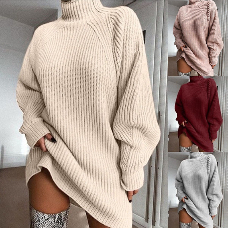 Solid Turtleneck Long Sweater Winter Warm Women Sweater Dress LadyShow.Store