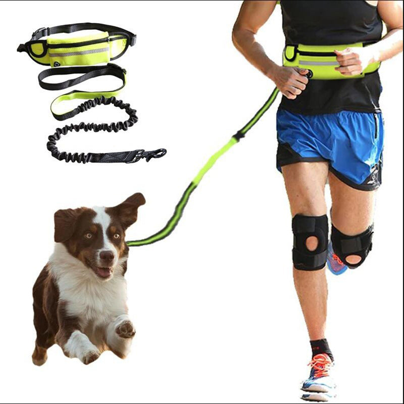 Hands Free Dog Leash Pet Walking And Training Belt With Shock Absorbing Bungee Leash For Up To 180lbs Large Dogs Phone Pocket And Water Bottle Holder Pi-Mart
