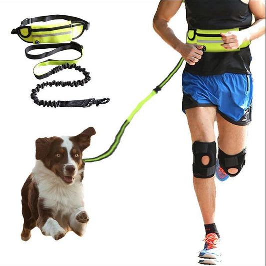 Hands Free Dog Leash Pet Walking And Training Belt With Shock Absorbing Bungee Leash For Up To 180lbs Large Dogs Phone Pocket And Water Bottle Holder Pi-Mart