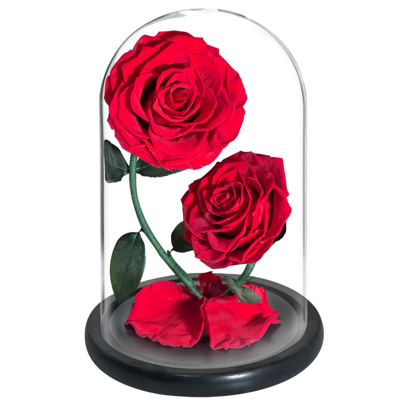 Double Preserved Flower Rose Valentine's Day Gift CJD