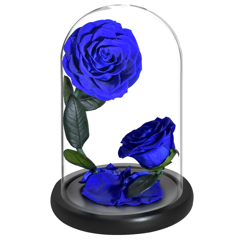 Double Preserved Flower Rose Valentine's Day Gift CJD