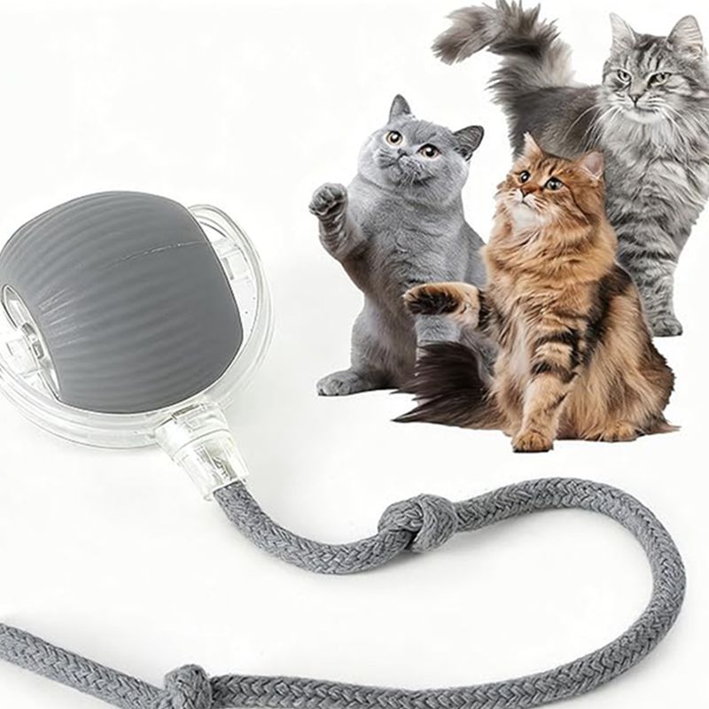 Cat Interactive Ball Toys Automatic Rolling Ball For Kitten Rechargeable Smart Pet Electric Toys With Teaser Sensor Cat Ball Toy Best YouTube Store