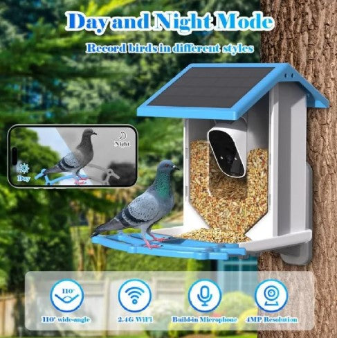 Solar Bird Feeder With Camera Best YouTube Store