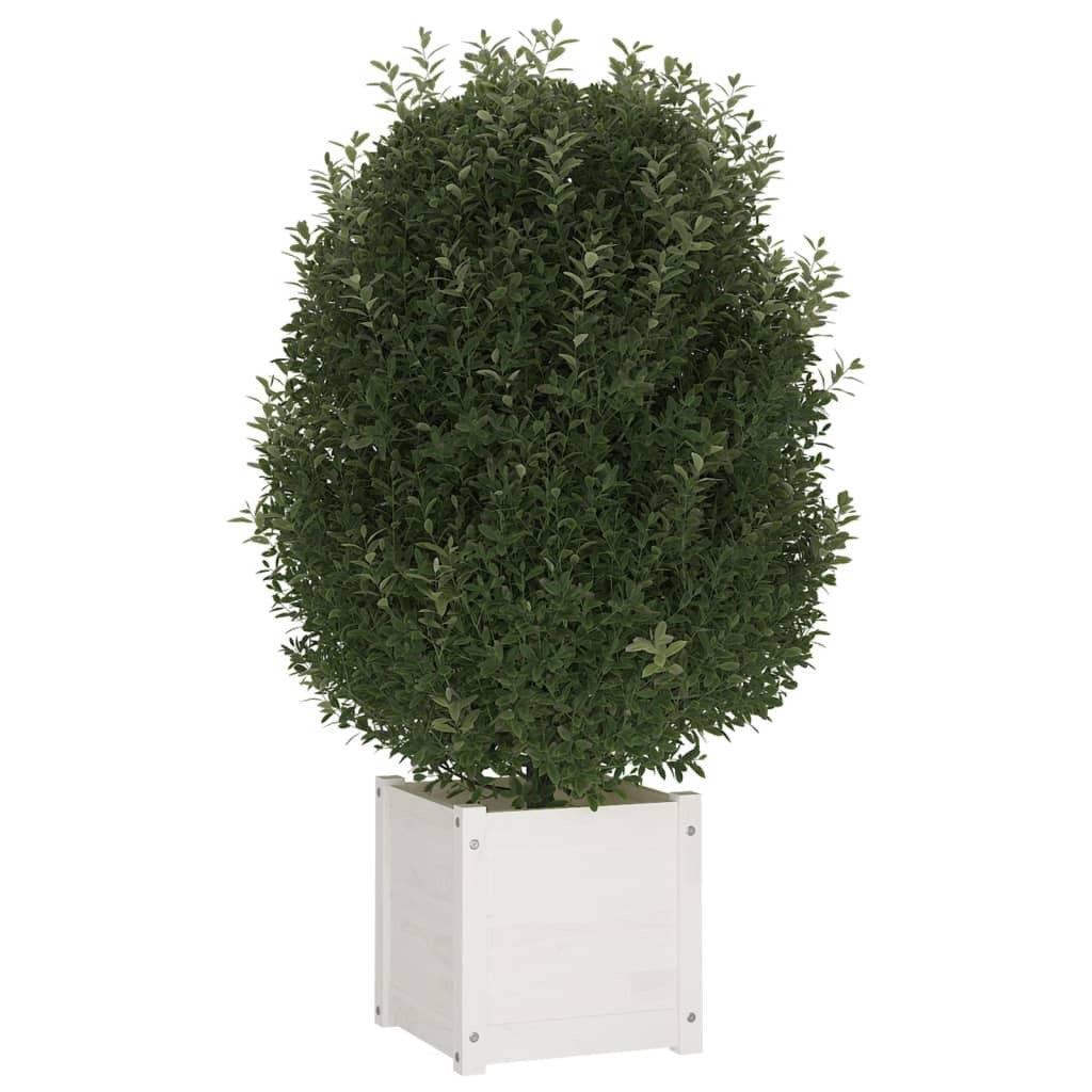 Garden Planters 2 pcs White 15.7"x15.7"x15.7" Solid Wood Pine W2B