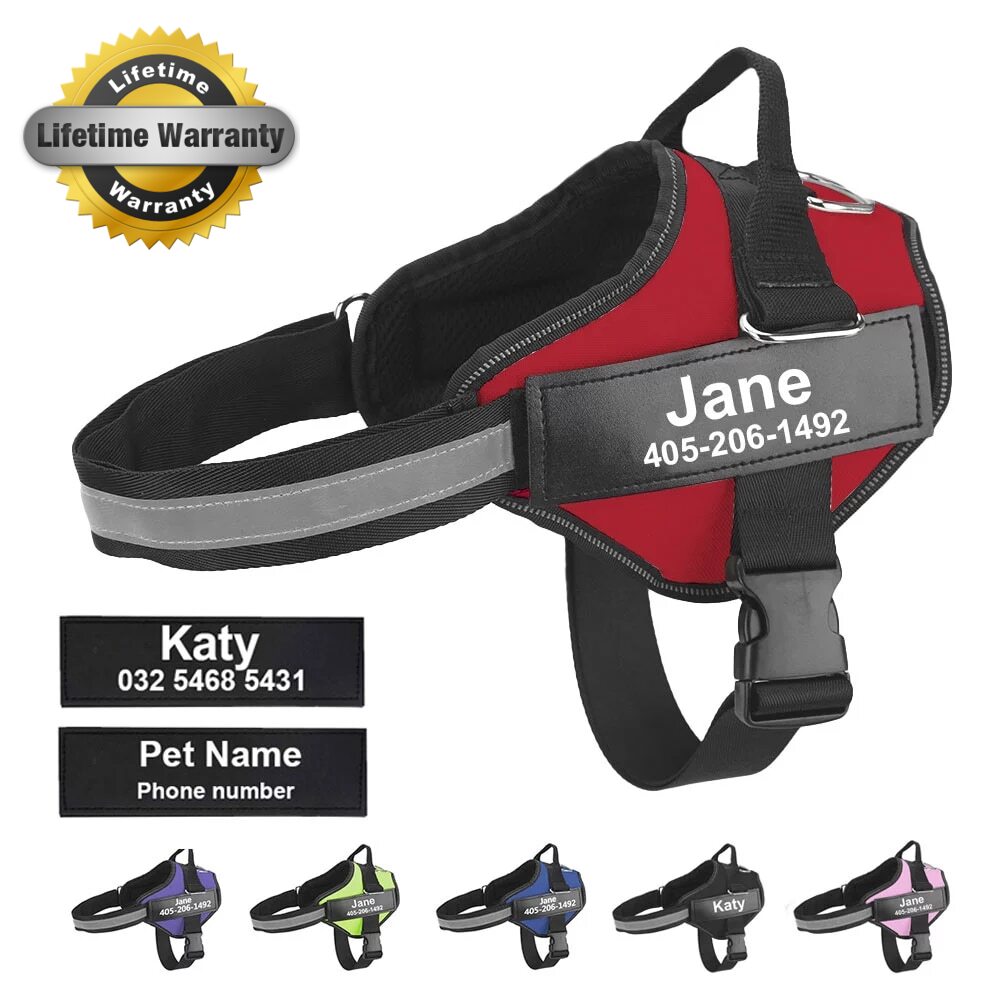 Personalized No-Pull Harness