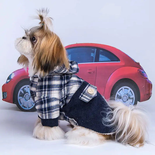 Teddy VIP Pomeranian Small Dog Cashmere Coat Best YouTube Store