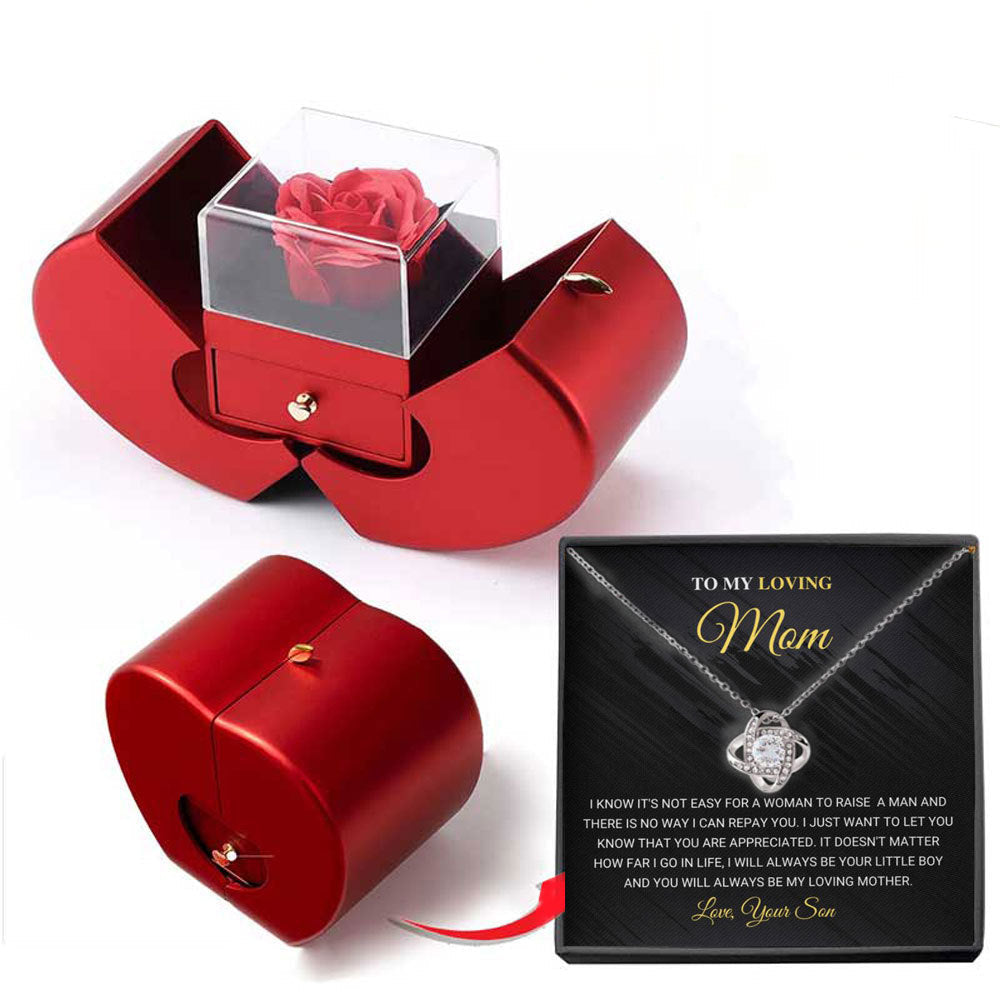 Niche Mother's Day Gift Clavicle Chain Apple Box Set CJD