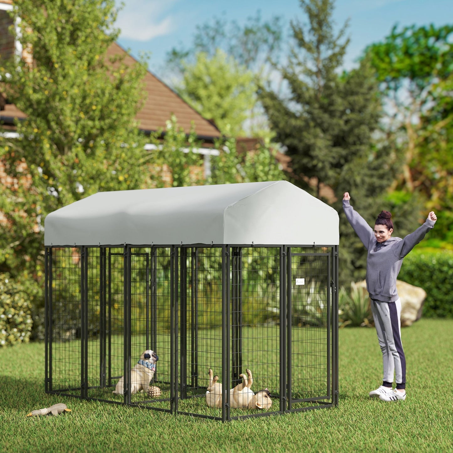 Outdoor Dog Kennel with Two-Room Design Best YouTube Store