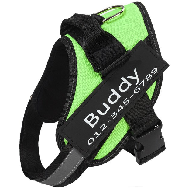 Personalized No-Pull Harness