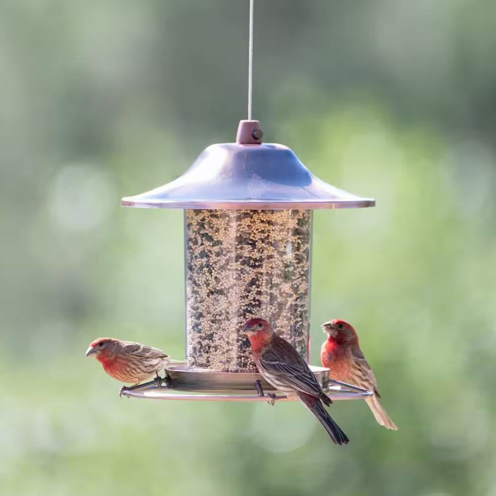 Copper Bird Feeder with Plastic Seed Reservoir Tube and Circular Perch FastFurnishings