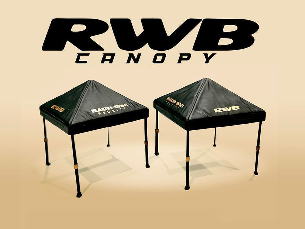 "RWB (RAUH-Welt BEGRIFF)" Canopy 2 Piece Set Black Limited Edition for 1/64 Scale Models by American Diorama American Diorama