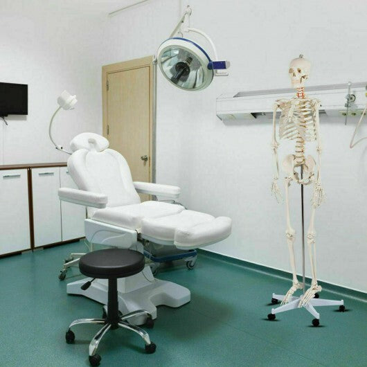 70.8 Inch Human Skeleton Model for Anatomy W2B