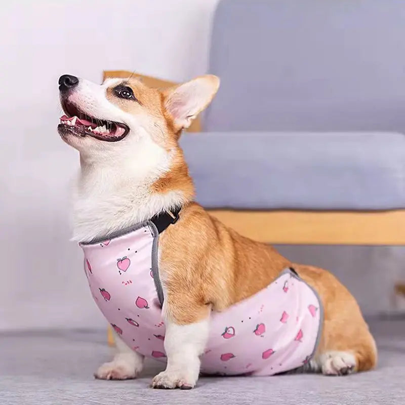Summer Full Print Pet Vest for Small Dogs Best YouTube Store