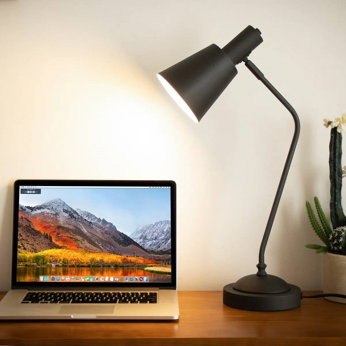 Black Gooseneck Dimmable Table Lamp Desk Light with Touch Control and USB-0