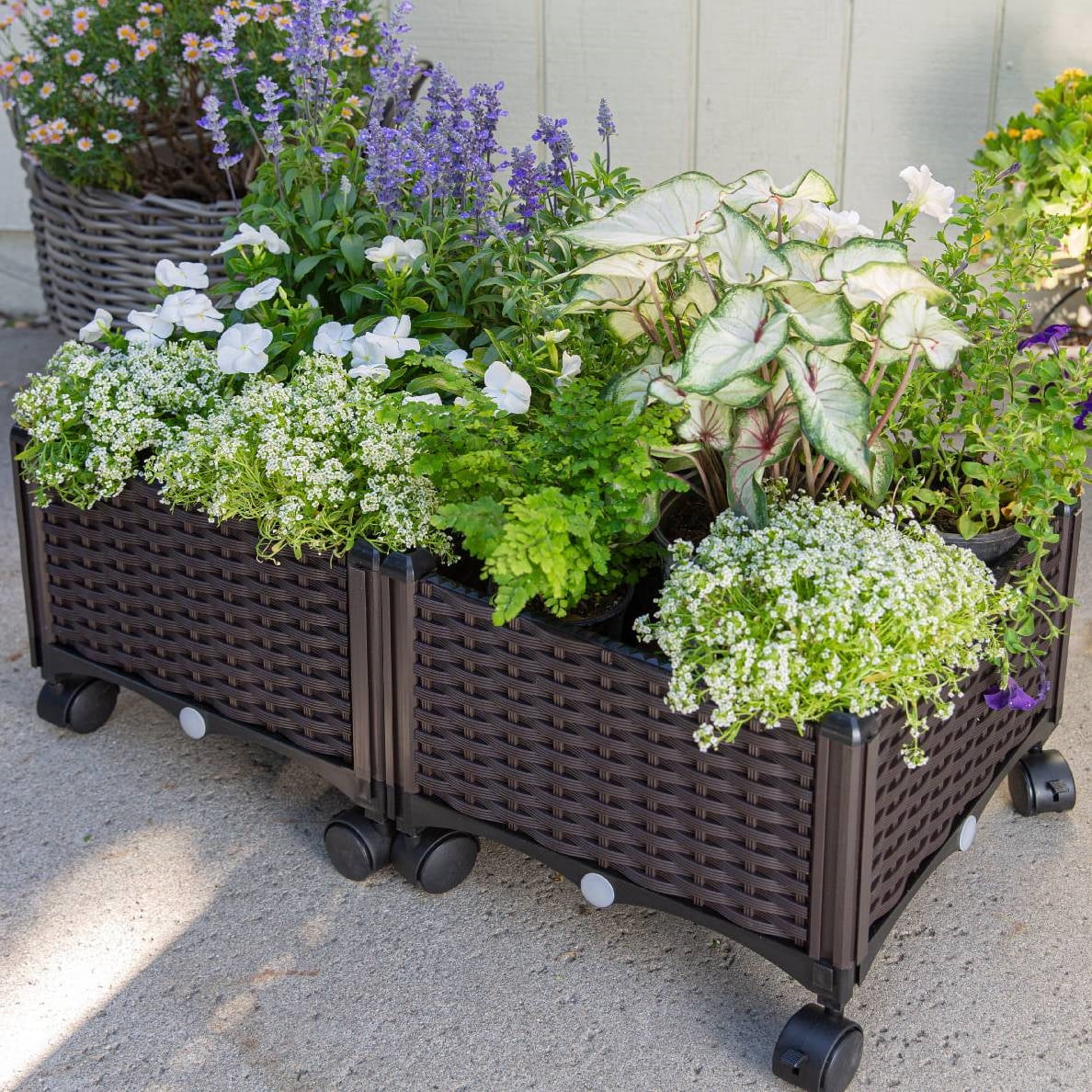 Modern 2-Piece Indoor Outdoor Raised Garden Planter Box on Wheels in PP Rattan FastFurnishings