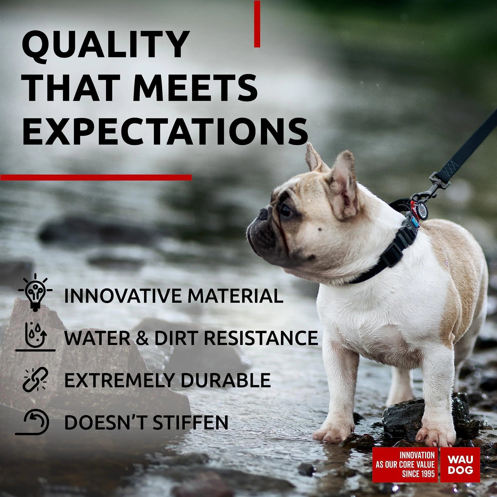Black Waterproof Dog Collar Adjustable for Medium Dogs 1016 inch Neck Best YouTube Store