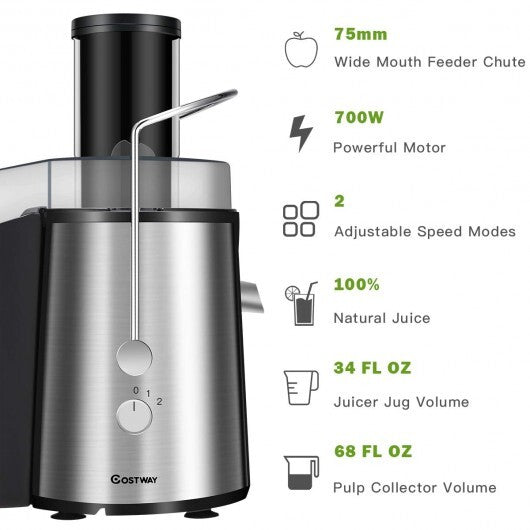 2 Speed Electric Juice Press for Fruit and Vegetable W2B