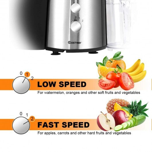 2 Speed Electric Juice Press for Fruit and Vegetable W2B