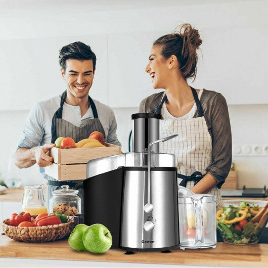 2 Speed Electric Juice Press for Fruit and Vegetable - Color: Silver W2B