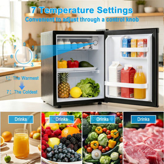 Compact Mini Fridge with 7-Level Adjustable Thermostat-Silver W2B
