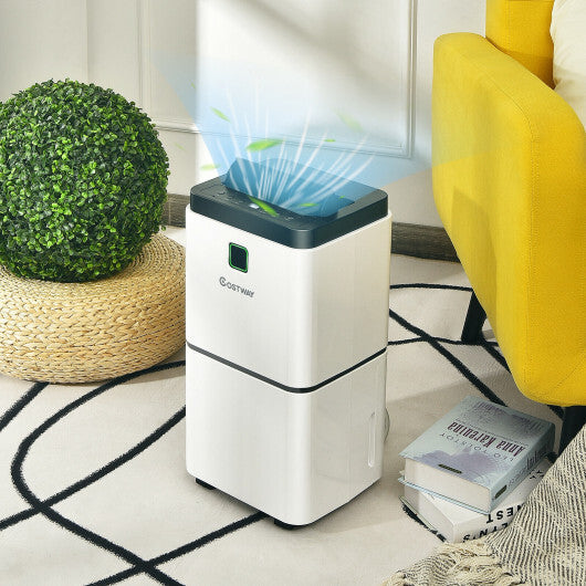 30 Pints 1500 Sq. ft Dehumidifier for Medium to Large Room with Indicator W2B