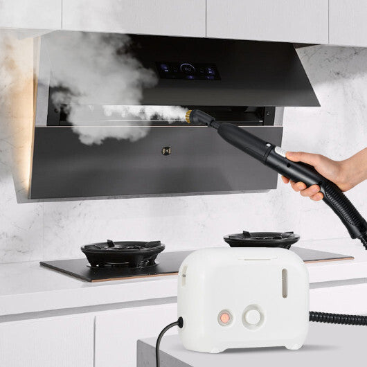 1500W Portable Steam Cleaner with 34 oz Water Tank-White W2B