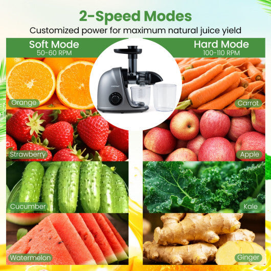 Cold Press Juicer Machine with 95% High Yield and 2-Speed Modes-Sliver W2B