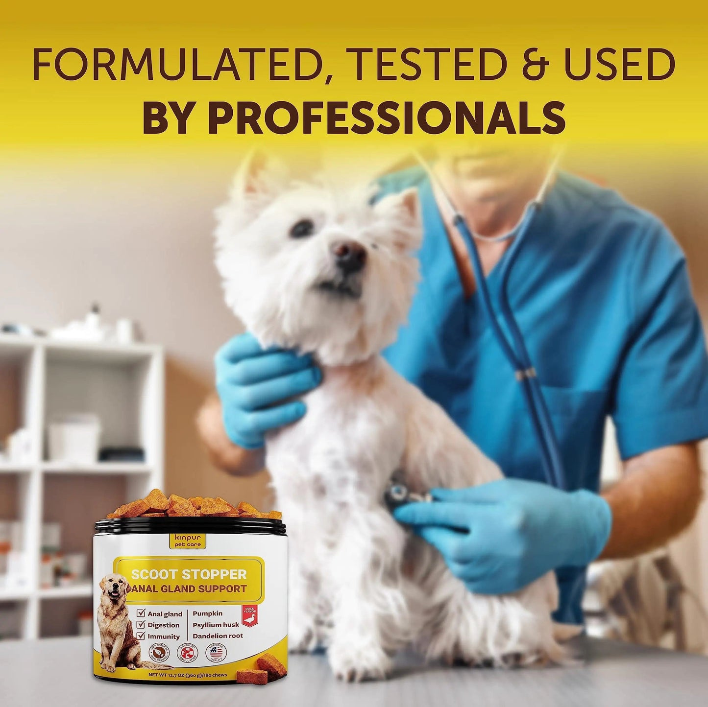 Scoot Stopper Soft Chews   Fiber for Dogs   Dog Anal Gland and Digestion Support Best YouTube Store