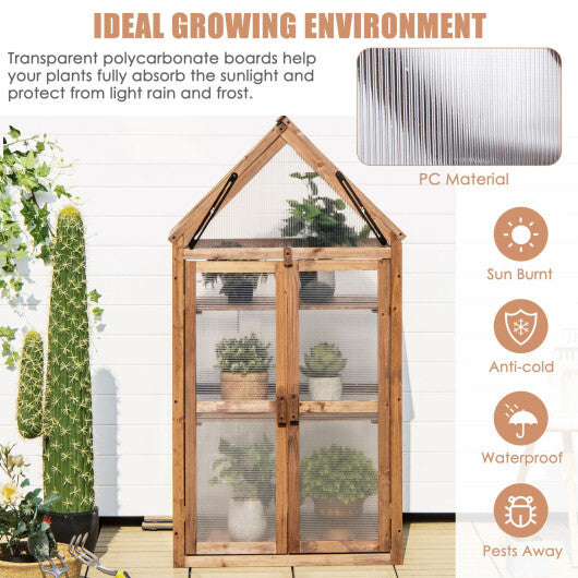 Cold Frame Mini Wooden Greenhouse for Vegetable and Flower-Brown W2B