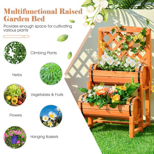 2-Tier Raised Garden Bed with 2 Cylindrical Planter Boxes and Trellis-Orange W2B