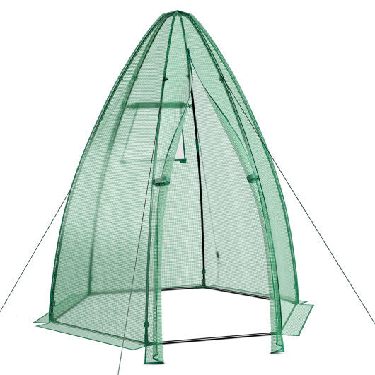 5.5 x 5.5 x 6 Feet Portable Mini Greenhouse with All-Weather PE Cover W2B
