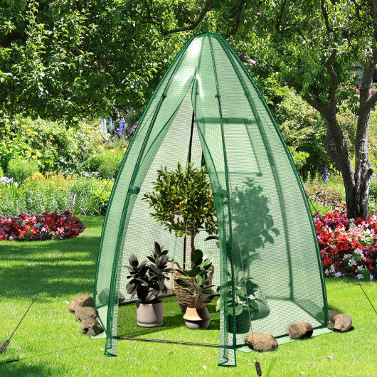 5.5 x 5.5 x 6 Feet Portable Mini Greenhouse with All-Weather PE Cover W2B