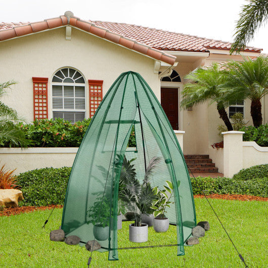 5.5 x 5.5 x 6 Feet Portable Mini Greenhouse with All-Weather PE Cover W2B