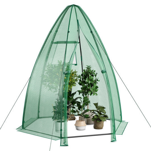 5.5 x 5.5 x 6 Feet Portable Mini Greenhouse with All-Weather PE Cover W2B